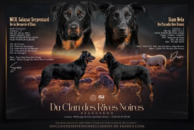 Du Clan Des Rives Noires