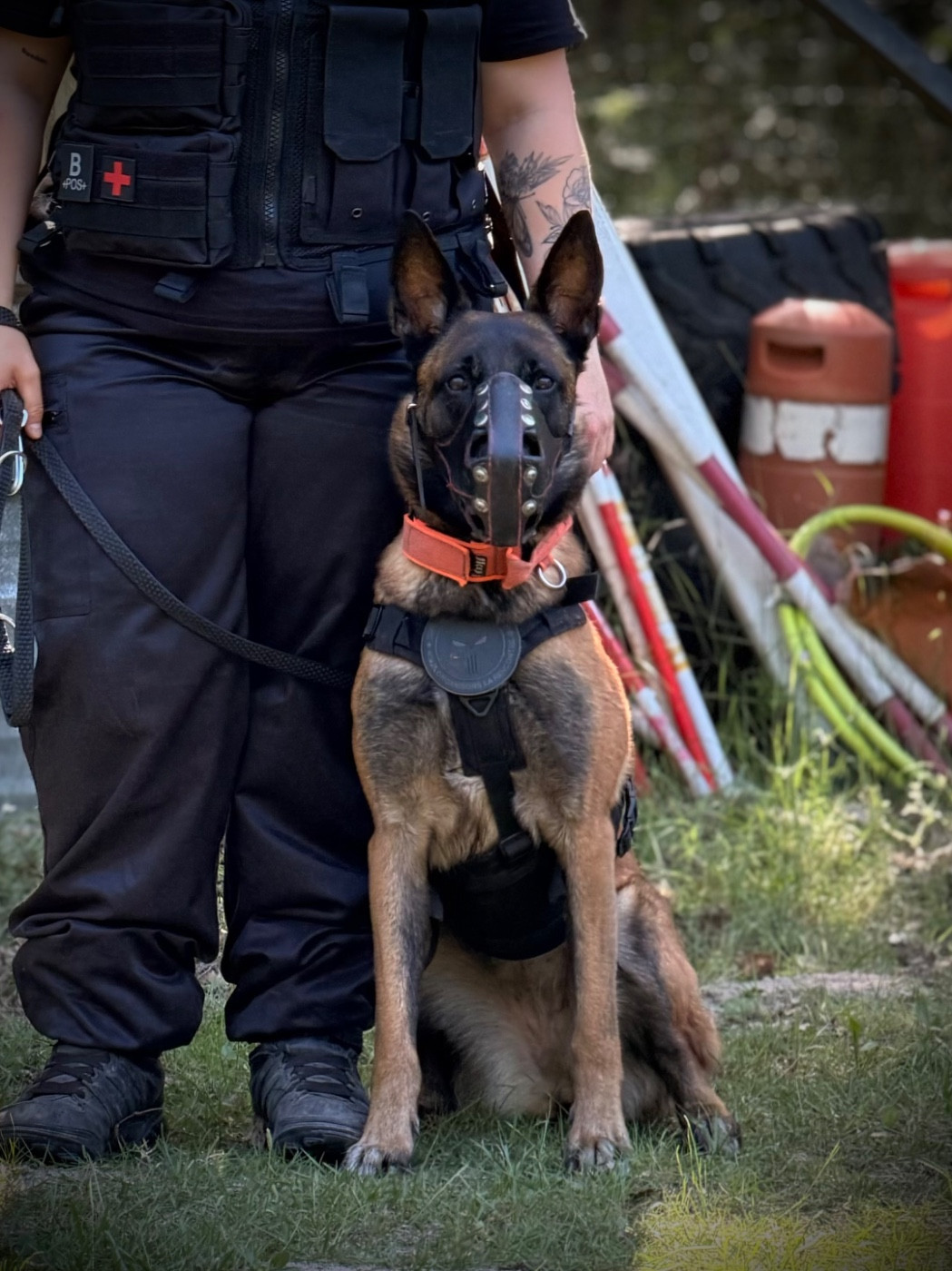 Stella des deux léopards - Chien de défense et d intervention
