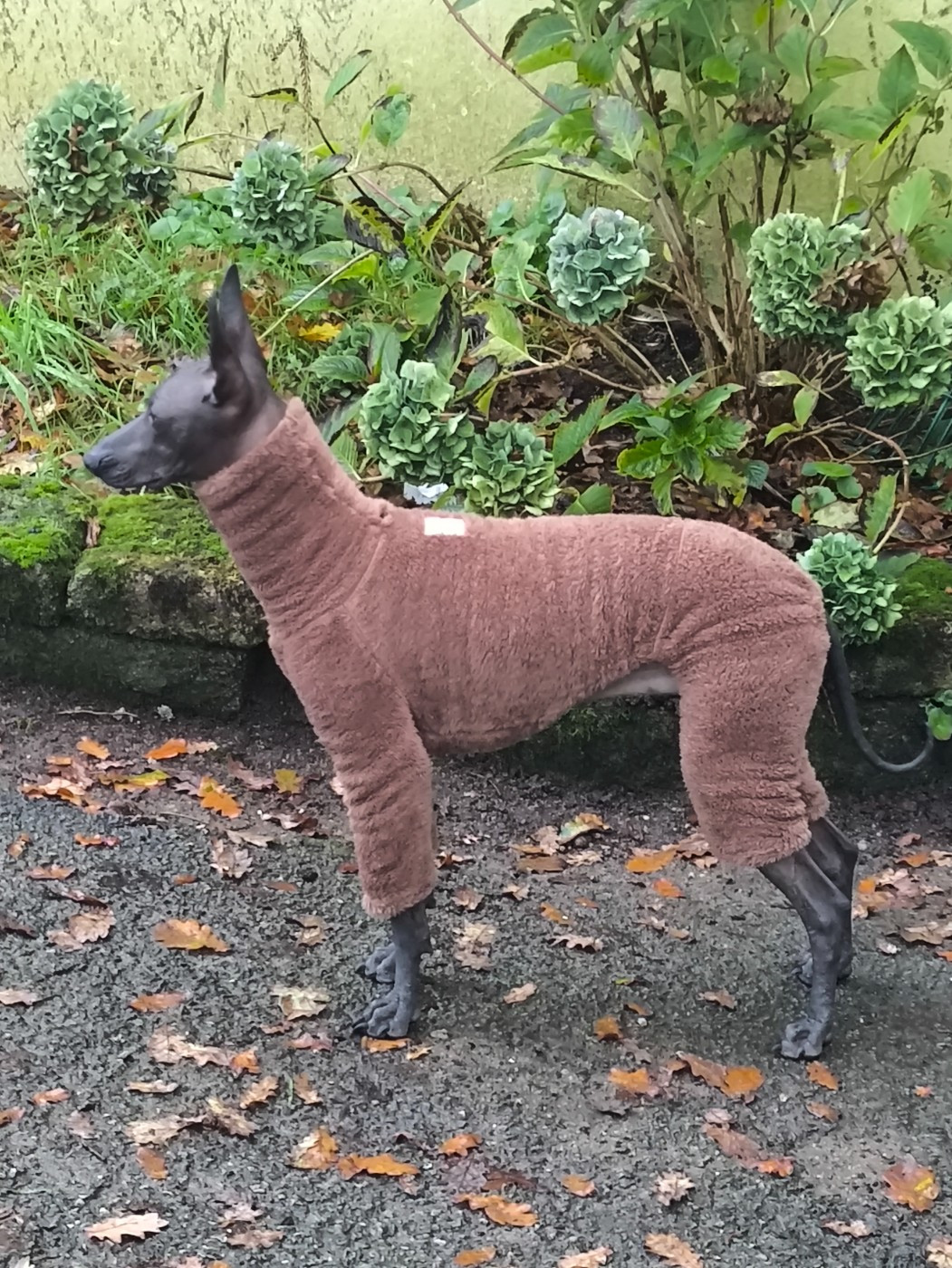 Publication : T'y Breiz