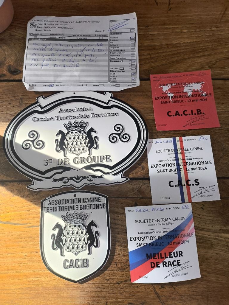 Rénata inca des ti'bidoums