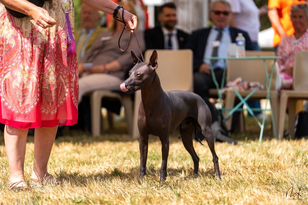 Urlu T'y Breiz - CACS-BOB