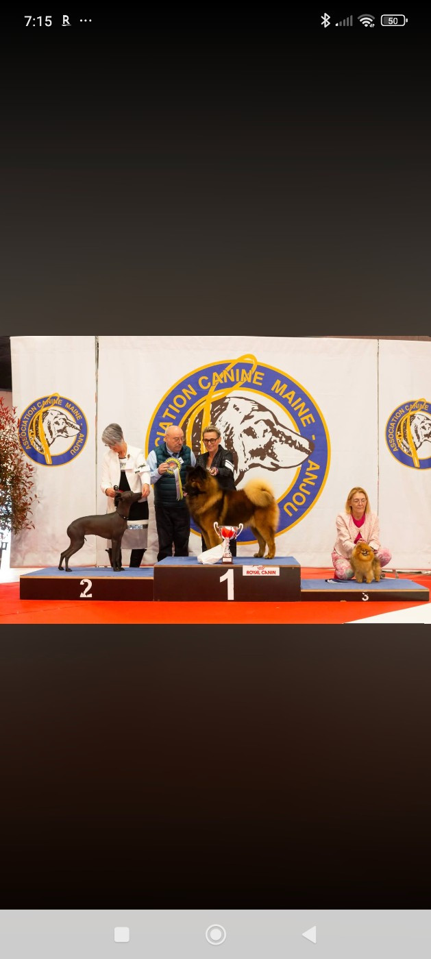 CH. Susi Huaytara - Première, excellent,meilleur de race, deuxième de groupe et premier couple de l' exposition.