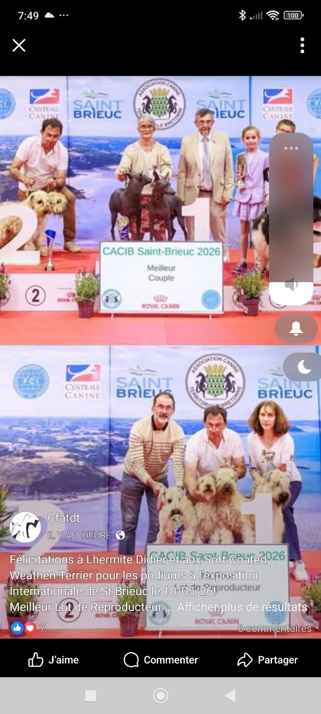 CH. Susi Huaytara - Première, meilleure de sexe opposé et meilleur couple de l' exposition