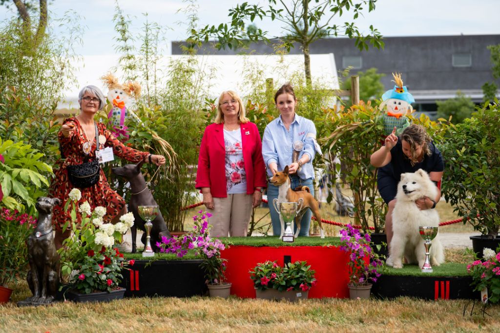 Urlu T'y Breiz - CACS-BOB- deuxième groupe 5