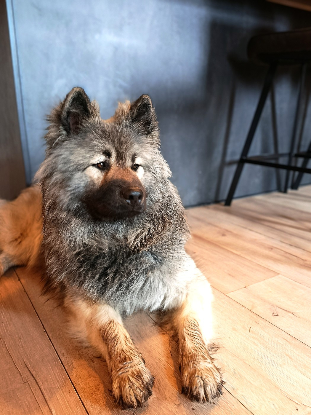 Valhalla véneriss Des crinières de feu