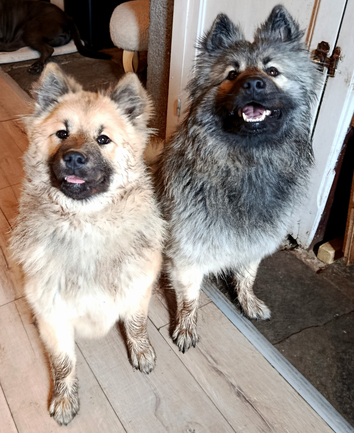 Valhalla véneriss Des crinières de feu