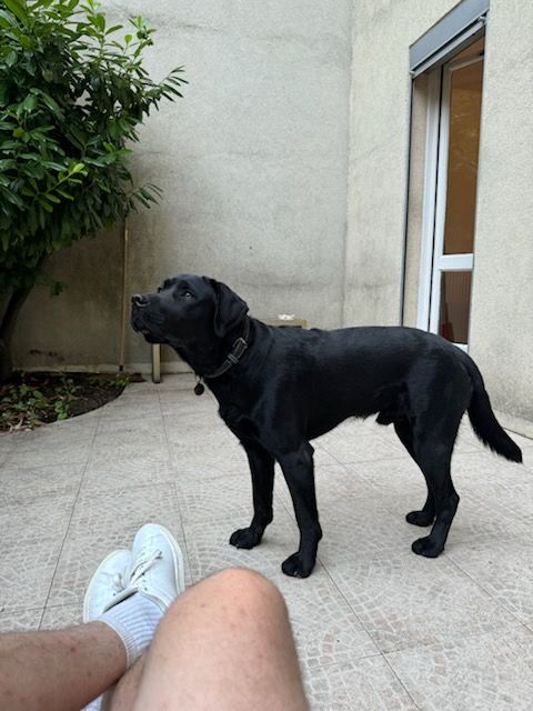 UMBRO REBAPTISé UGO