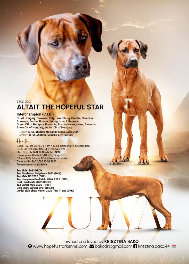 Publication : Nzara Yeshumba Auteur : Krisztina BAKO