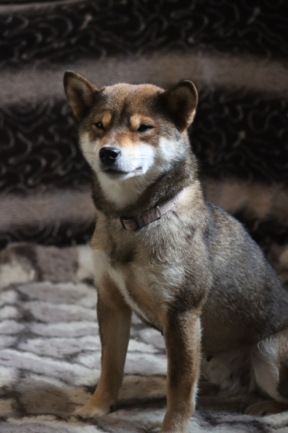 Publication : mangetsu no yoru