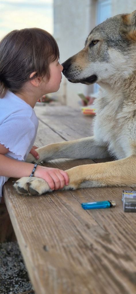 athanor lupus Robert plant sing immigrant song