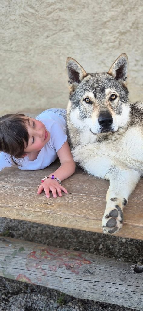 athanor lupus Robert plant sing immigrant song