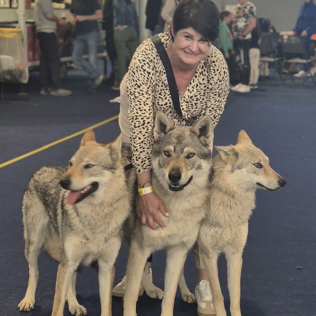 athanor lupus Robert plant sing immigrant song