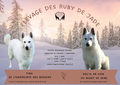 Des Ruby De Jade