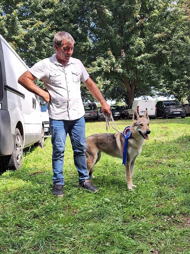 Severka III dite "RUBY" Od uhoste - 1er Excellent CACS