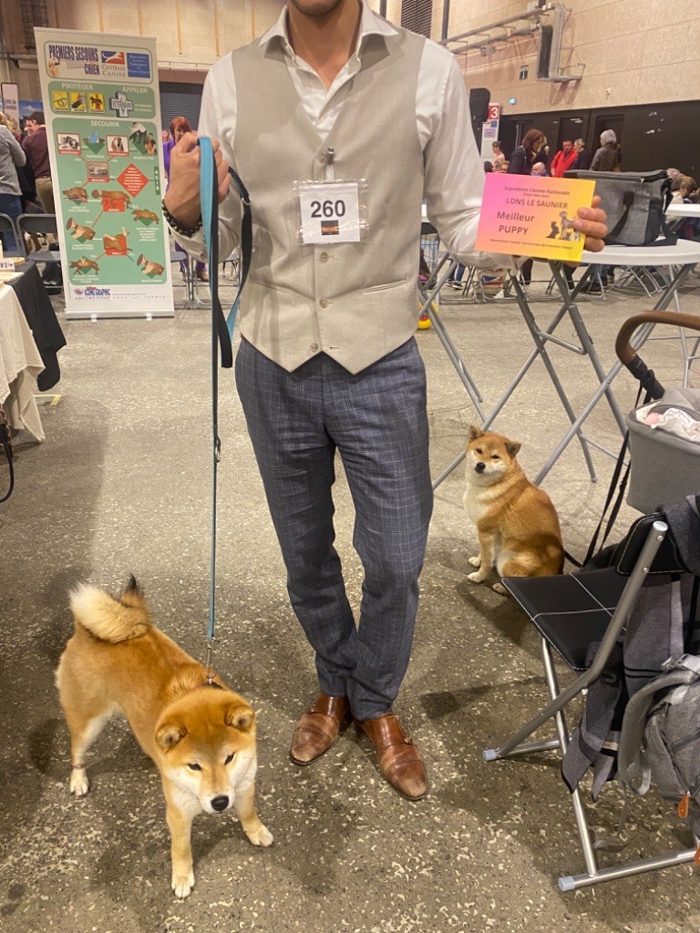 CH. Umi Yama No Hikari - Meilleur Puppy