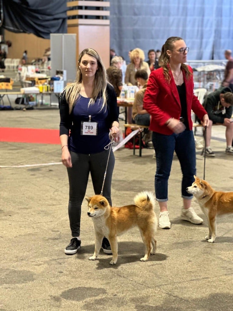 CH. Umi Yama No Hikari - CACIB Jeune - Meilleur de race