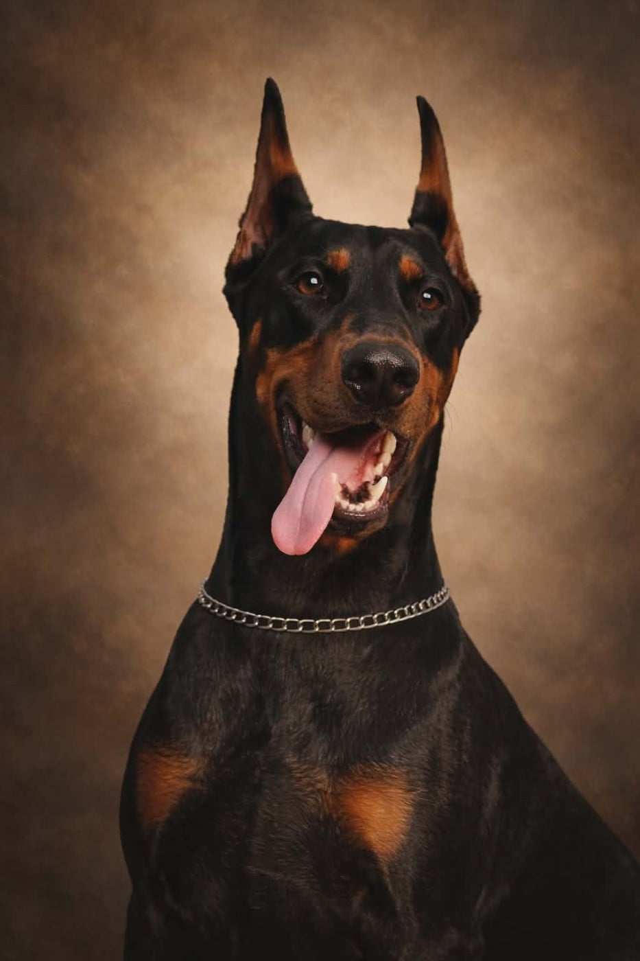 Publication : Di sarabell