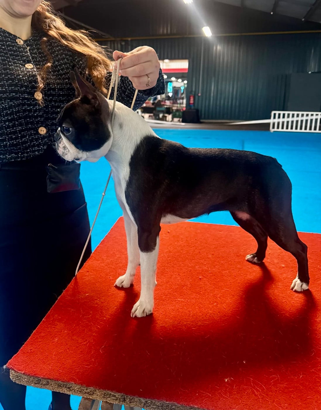 Publication : Iconic Boston