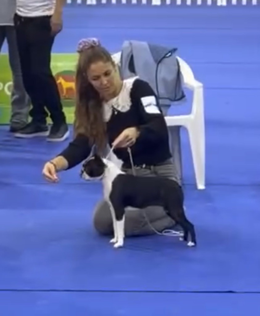 little paradise Victoria secret iconic boston