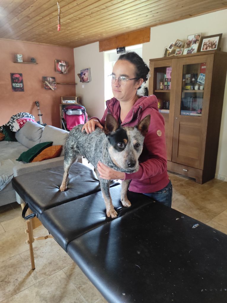 Showtime to starlight of ddk Ddk's Tribute