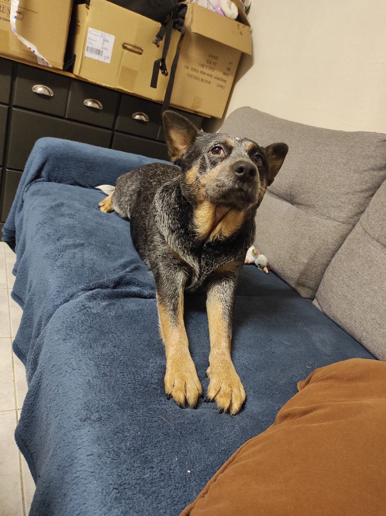 clever's keep Part of me