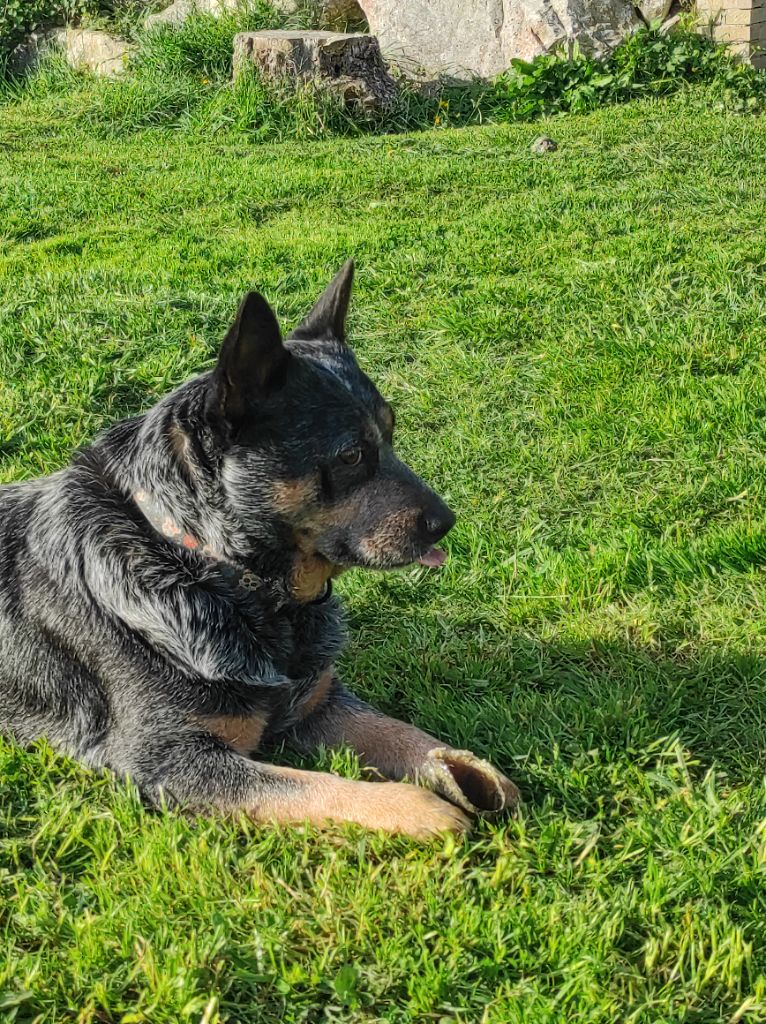 clever's keep Part of me