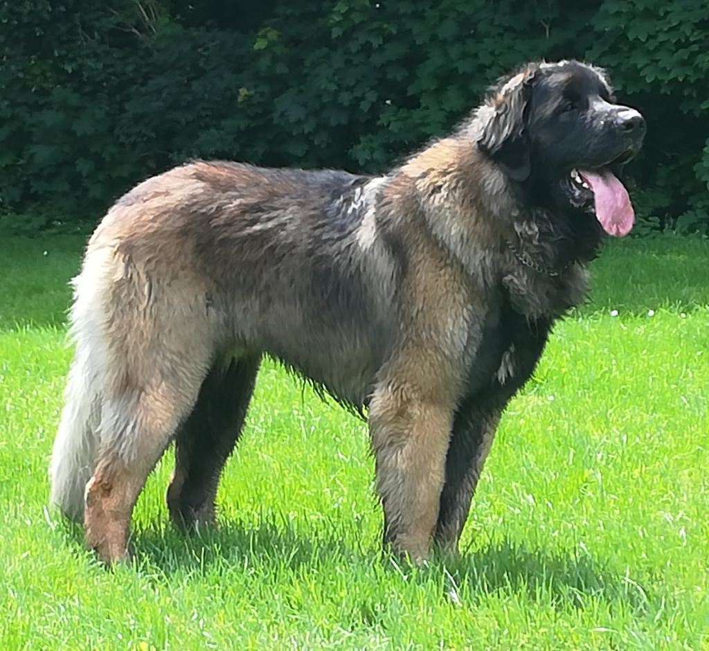 Publication : Du Charme De Montrésor Auteur : Evelyne Pambou-Makaya