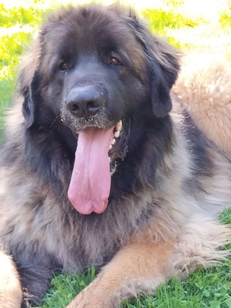 Publication : Du Charme De Montrésor Auteur : Evelyne Pambou-Makaya