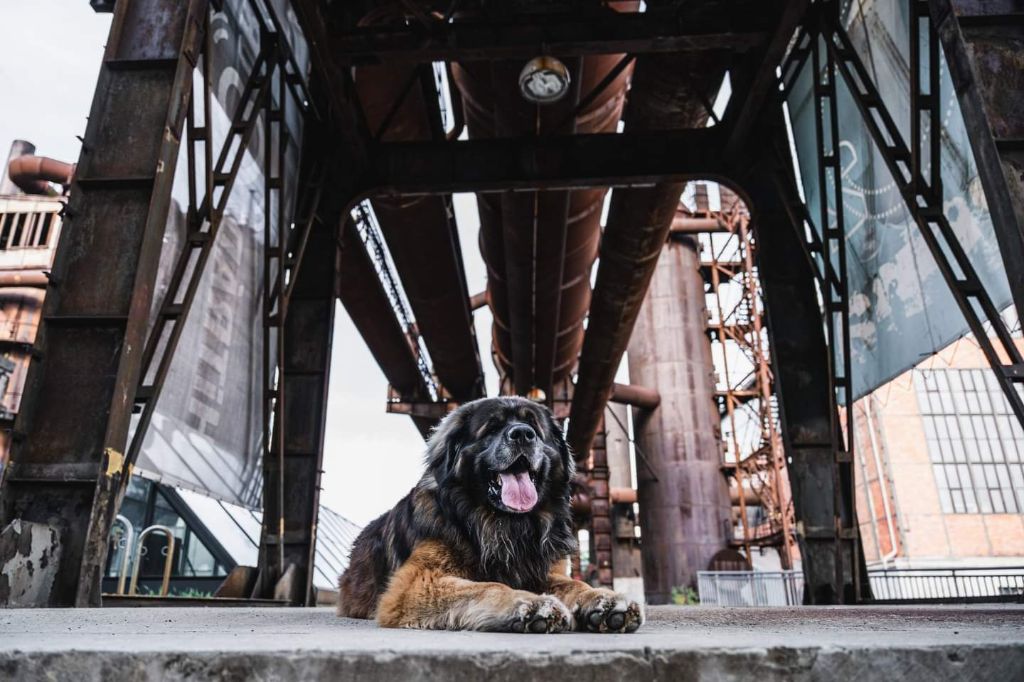 Publication : Du Charme De Montrésor