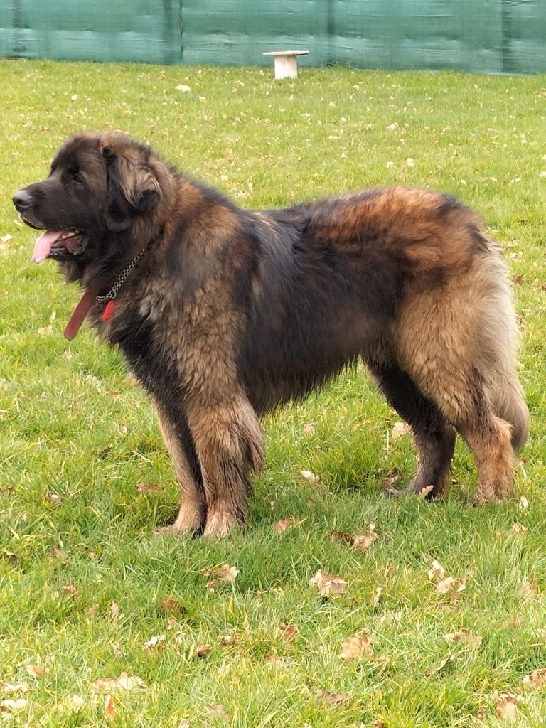 Publication : Du Charme De Montrésor Auteur : Evelyne Pambou-Makaya