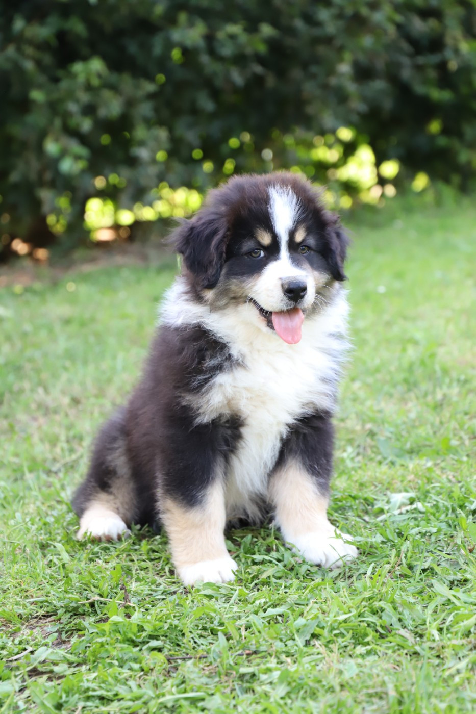 BOUBA