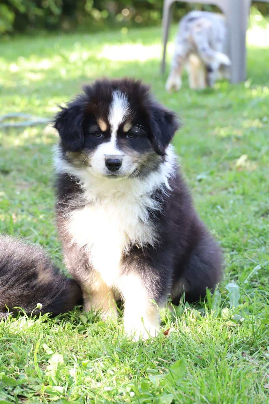 BOUBA