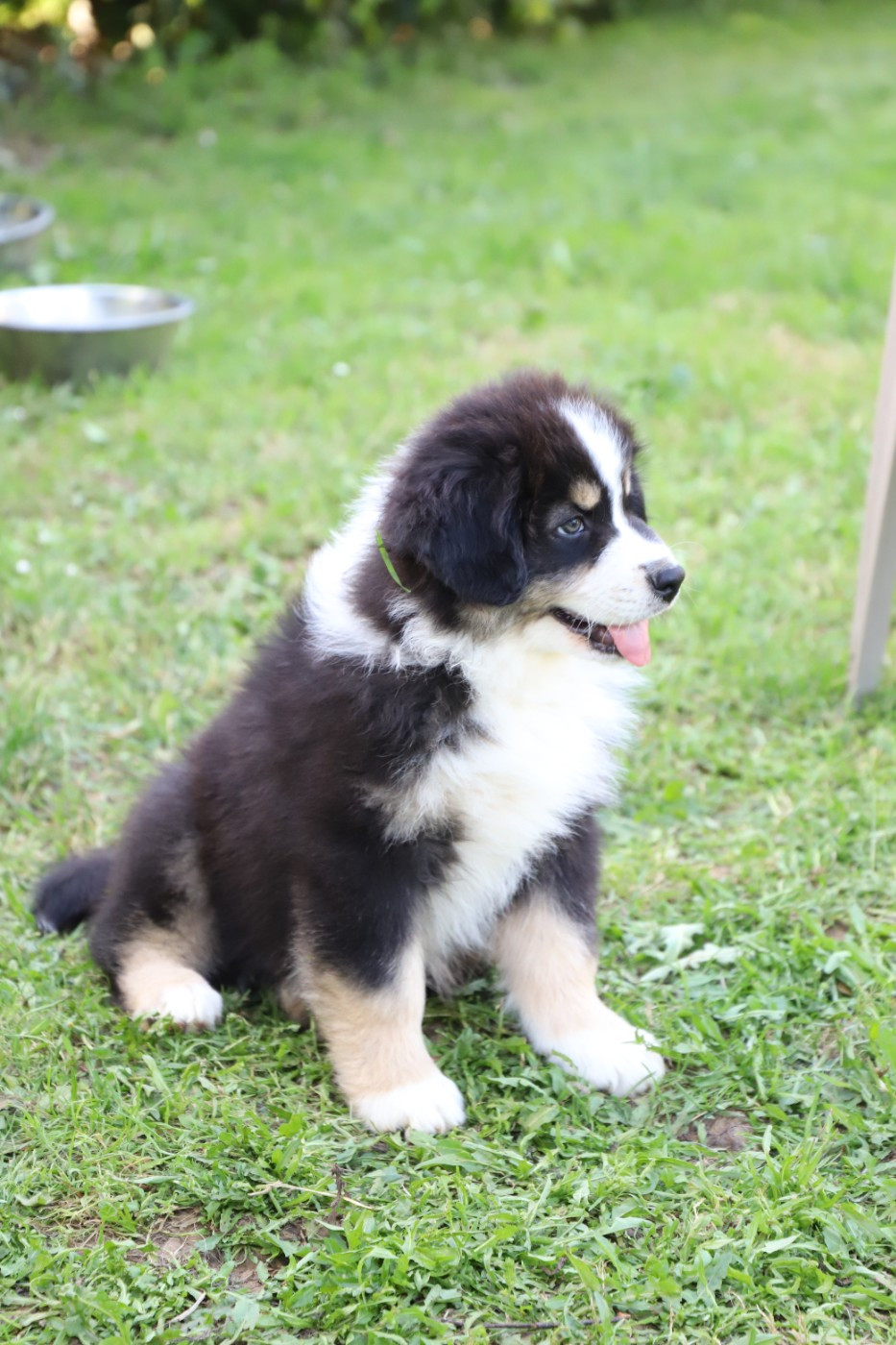 BOUBA