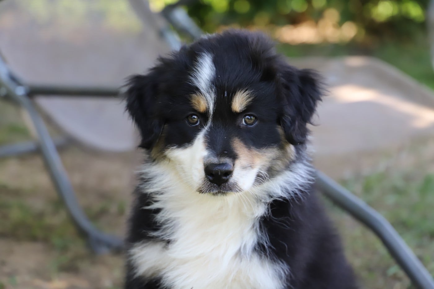 BEETHOVEN