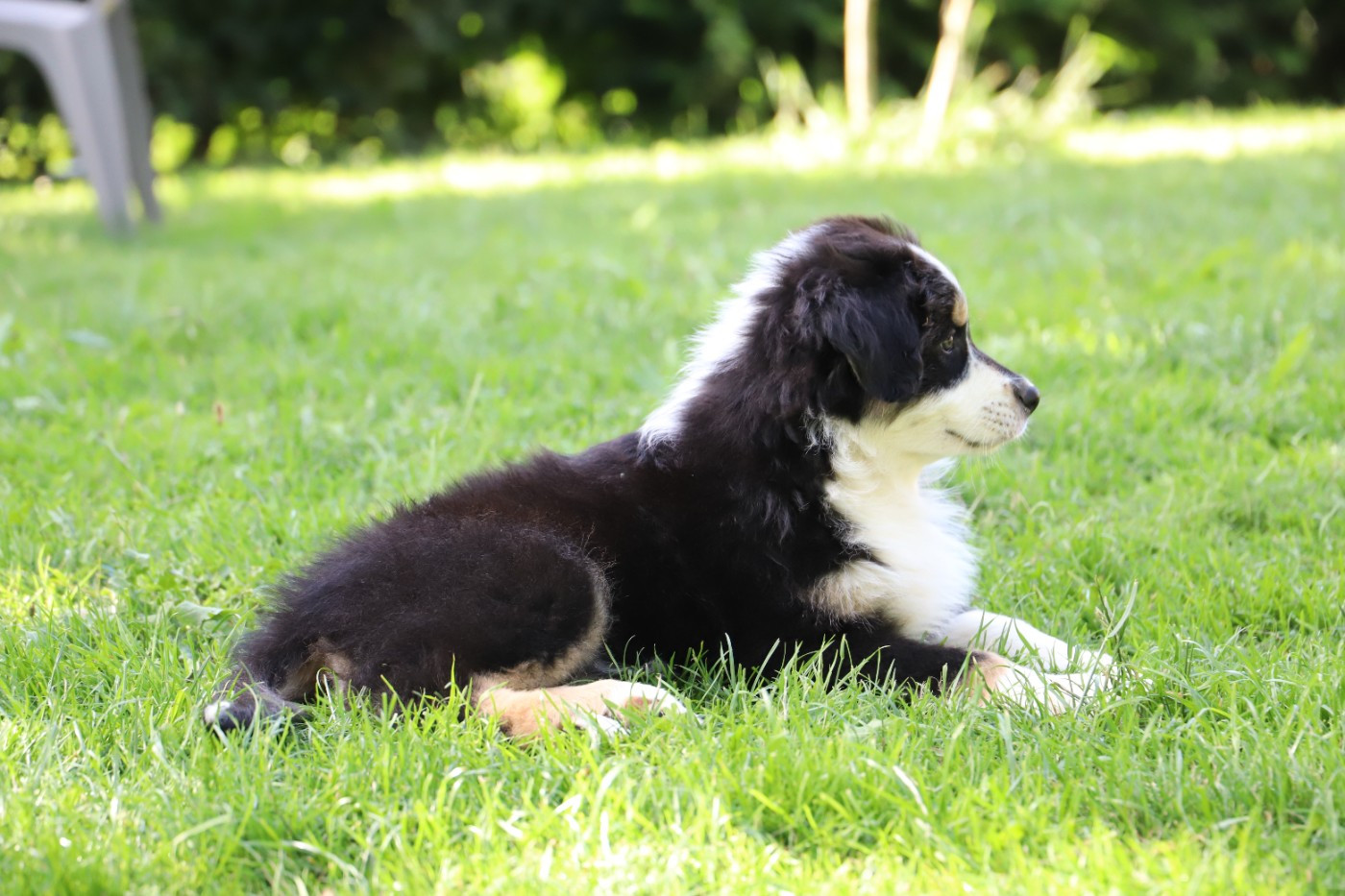BEETHOVEN