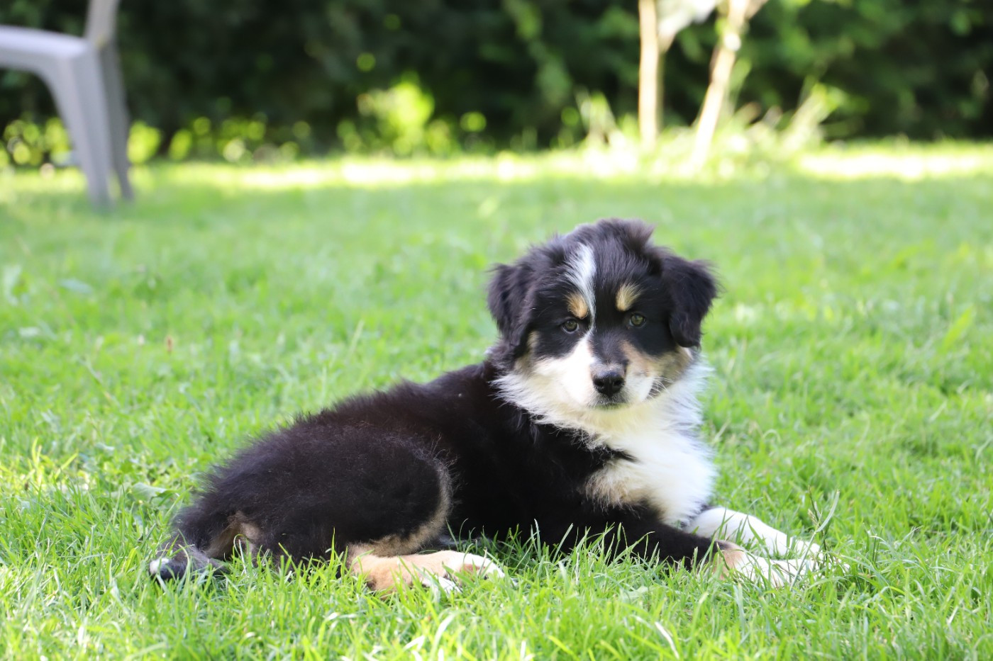 BEETHOVEN