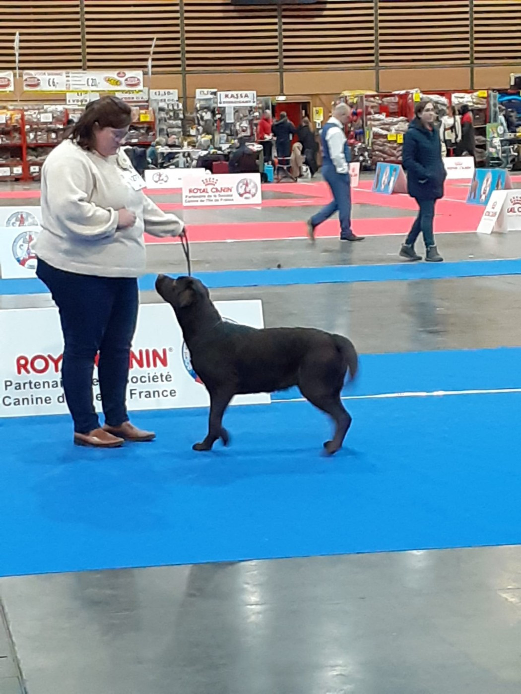 CH. Topaze des grandes plaines d'artois - 2 EXCELLENT