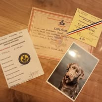 CH. Topaze des grandes plaines d'artois - 1 EXCELLENT CACS-J MEILLEUR SEXE OPPOSE MEILLEUR JEUNE