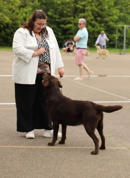 CH. Topaze des grandes plaines d'artois - 1 EXCELLENT