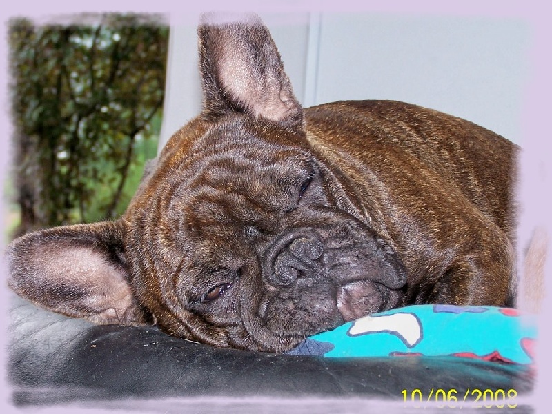 Cybelle-sixtine de sharp et boule de Nat