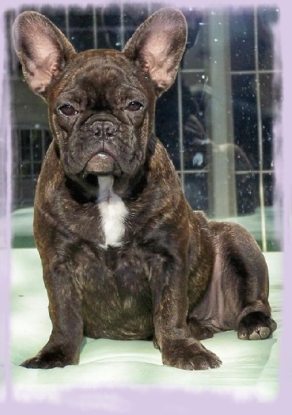 Cybelle-sixtine de sharp et boule de Nat