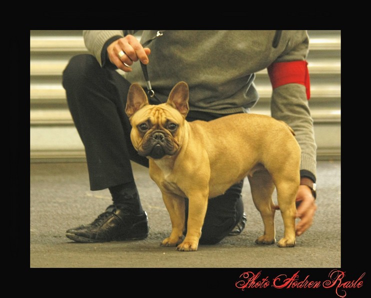 Dona Elena de sharp et boule de Nat