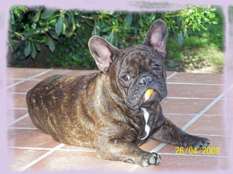 Cybelle-sixtine de sharp et boule de Nat