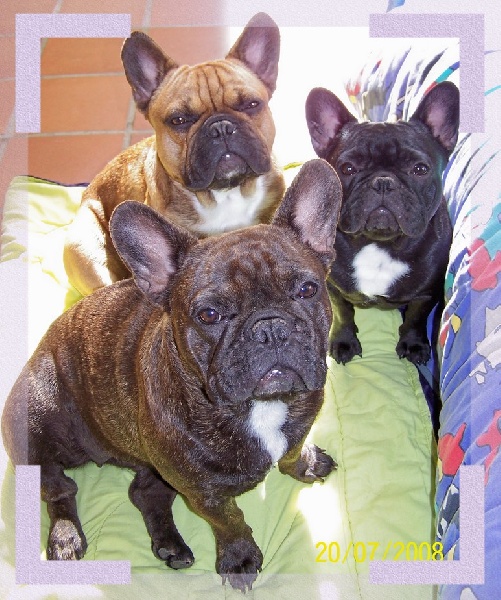 Cybelle-sixtine de sharp et boule de Nat