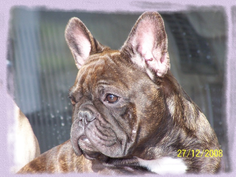 Cybelle-sixtine de sharp et boule de Nat