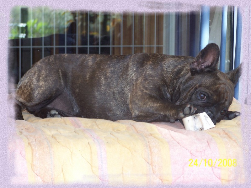 Cybelle-sixtine de sharp et boule de Nat