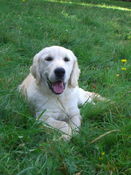 Publication : Du domaine des clayeux