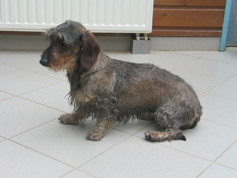 Publication : Du domaine de la villatelle