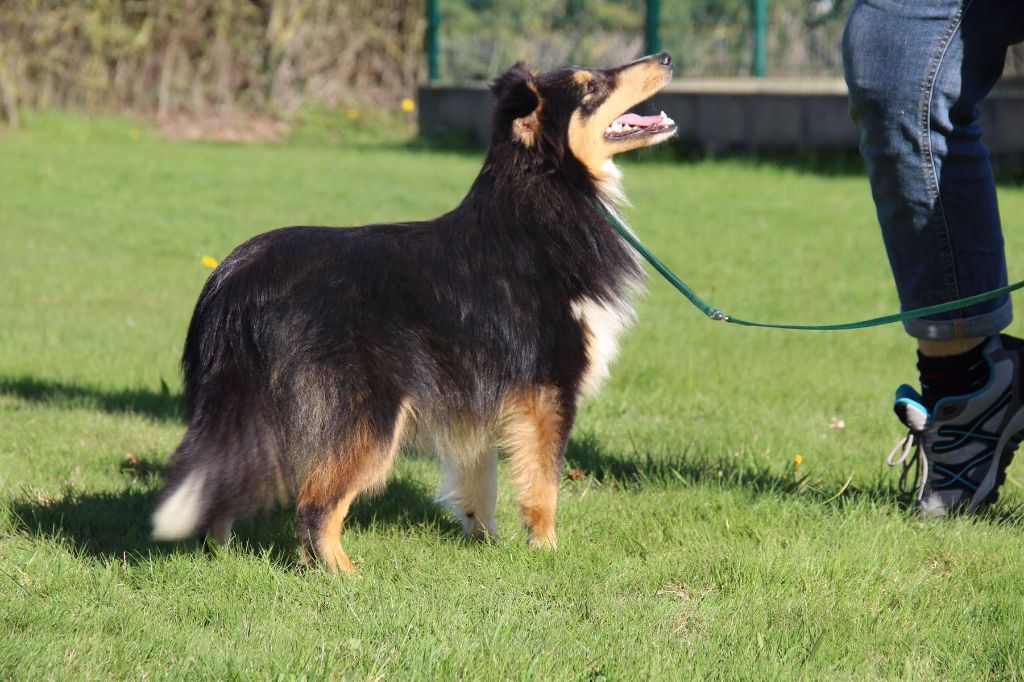 Publication : de l'Angelarde