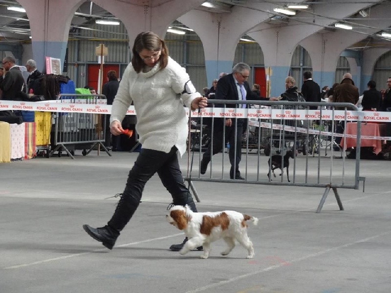 Jet set de l'Angelarde